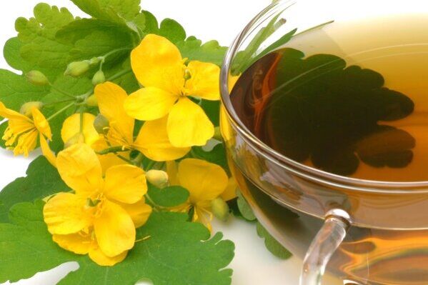 Infusión de celidonia para el tratamiento de la prostatitis.